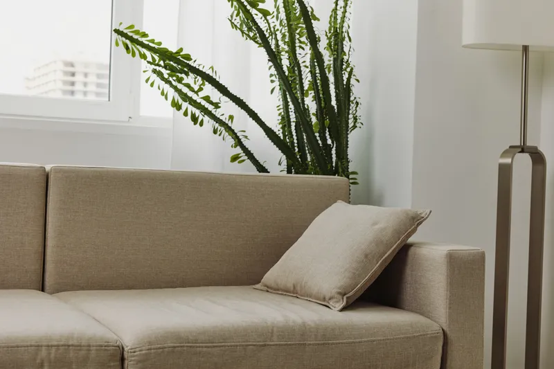Beige fabric sofa with cushion in modern living room, green plant near window and minimalist floor lamp, cozy home interior concept.
