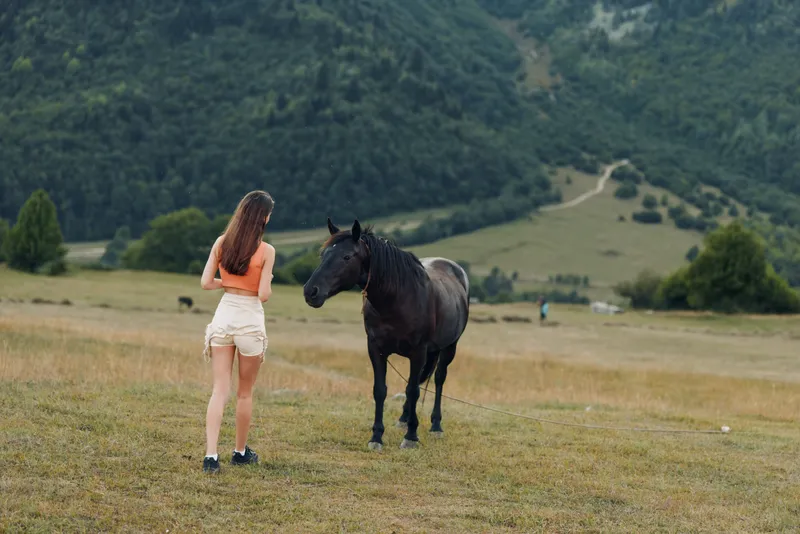 A young woman in an orange top and light shorts stands in a grassy field, facing a calm black horse. Sunlit meadow, tranquil countryside, gentle connection.