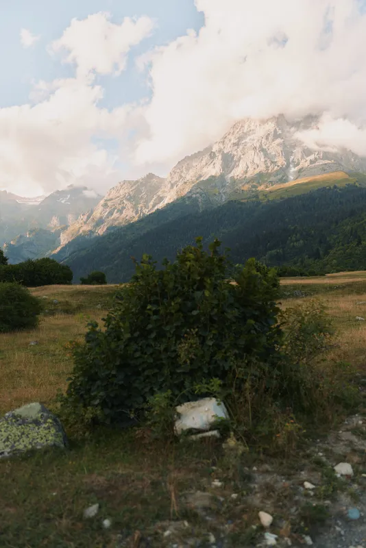 Wide-angle view of a grassy field with rocks and shrubs, mountain range in the distance under a cloudy sky, serene outdoor scene conveying nature, exploration, and tranquility.