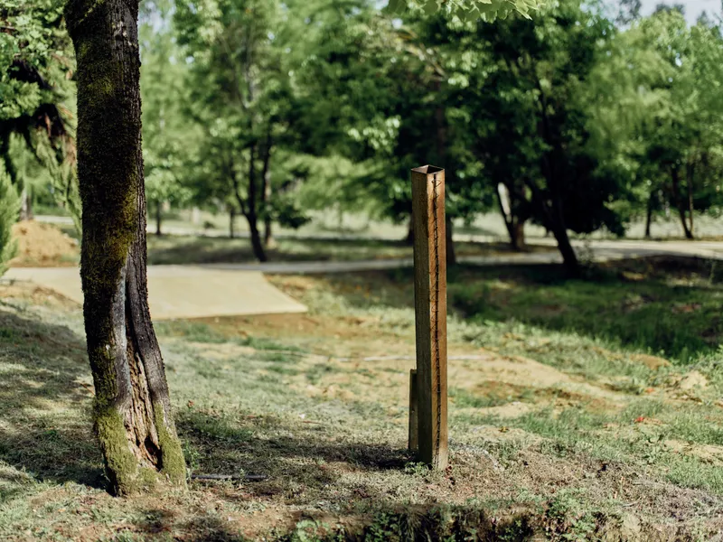 Tree, post, grass, park, path, trunk: rustic wooden post beside a mossy tree trunk on sunlit grass in a quiet park, paved walking path and scattered trees create a peaceful natural landscape.