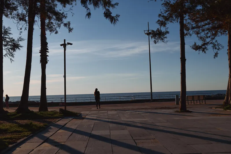 A young woman with long hair walks alone along a seaside promenade at sunset with palm trees casting long shadows on the pavement.