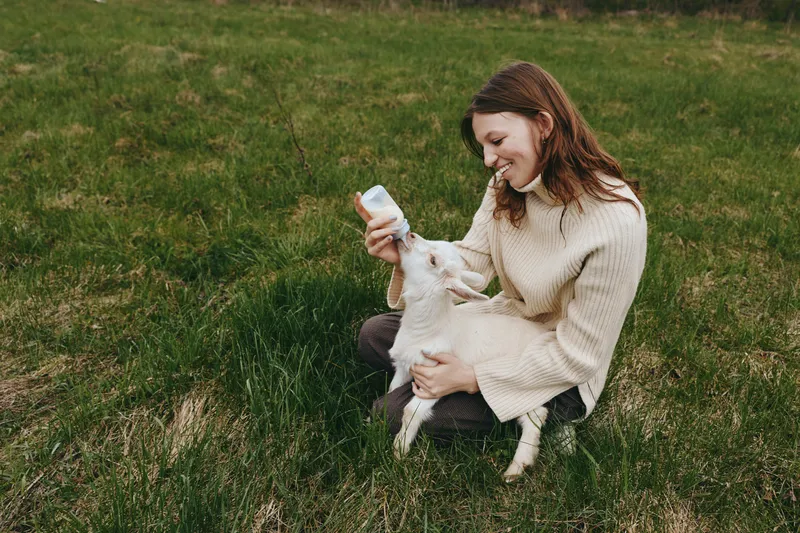 Cheerful woman outdoors feeds a young goat in a sunlit field, close interaction, soft sweater, gentle gaze, tranquil scene, natural colors, countryside atmosphere, candid moment.