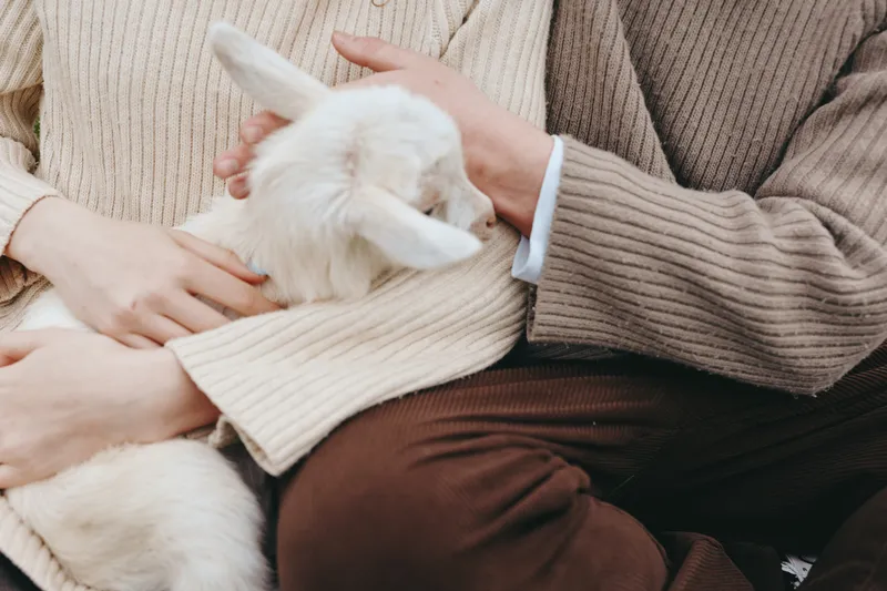 A young couple wearing cozy sweaters gently holds a small white baby goat in their arms, sharing a tender lifestyle moment indoors with warm, soft textures and natural light.