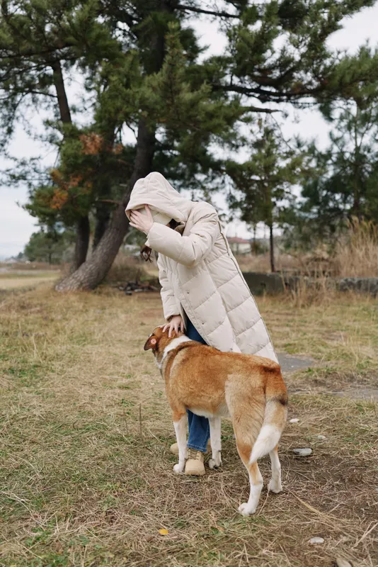 dog, person, coat, park, outdoor, hooded, beside a dog and its owner in a hooded coat within a park, trees in the background and a calm outdoor moment