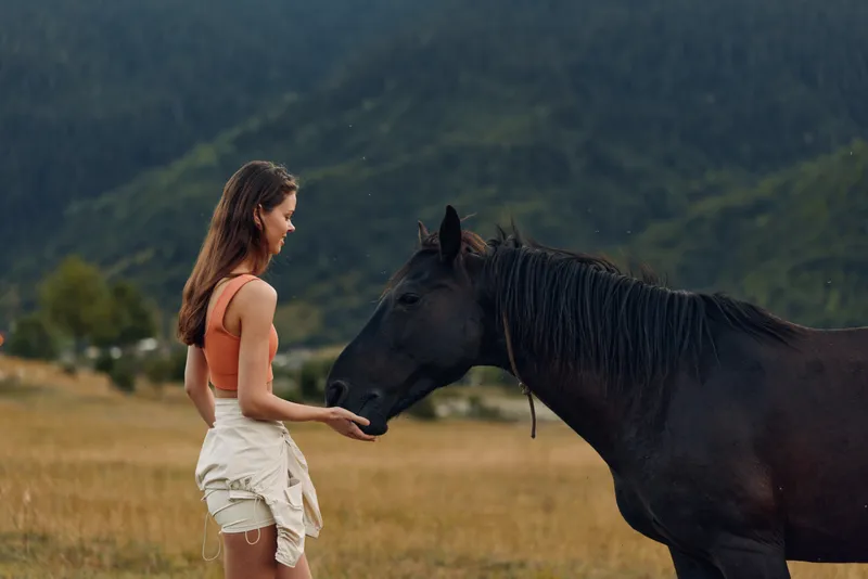 A young woman stands in a grassy meadow and gently touches a horse. She wears casual summer clothing, and the scene exudes calm, trust, and a quiet connection with nature.