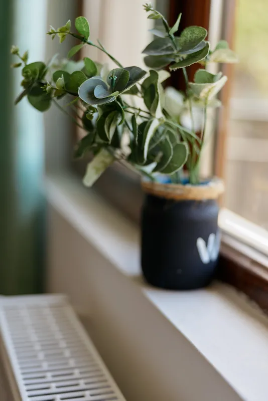Closeup of a leafy houseplant in a dark pot on a sunlit windowsill, creating a peaceful home scene with natural colors and soft ambient light.