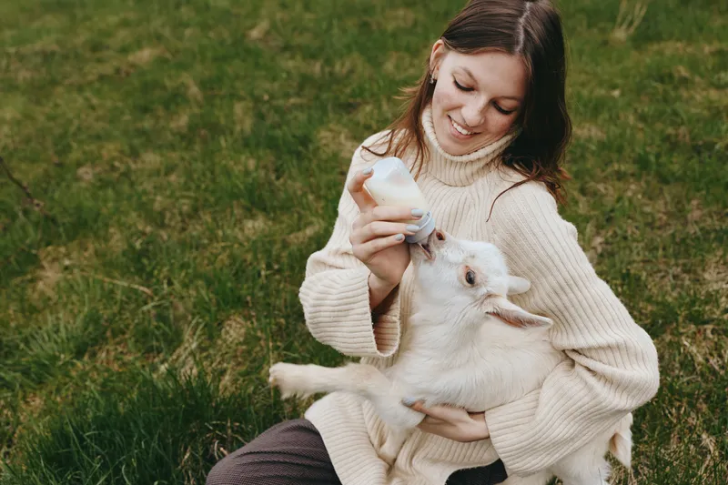 Young woman in a cozy sweater feeds a white baby goat with a bottle while sitting on green grass in a relaxed outdoor lifestyle scene.