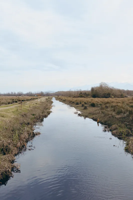 Calm river stream through countryside landscape with water reflections, outdoor nature scene under cloudy sky, quiet lifestyle mood, bordered by grass and shrubs, distant hills, in winter