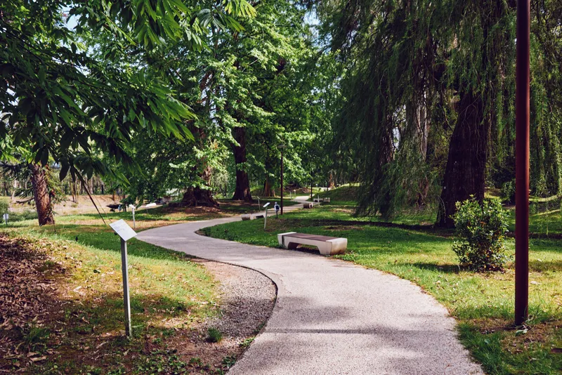 Park path with curved walkway, bench and informational sign among tall trees and lush greenery. Tranquil nature scene with shaded trail for walking, relaxation and outdoor leisure.