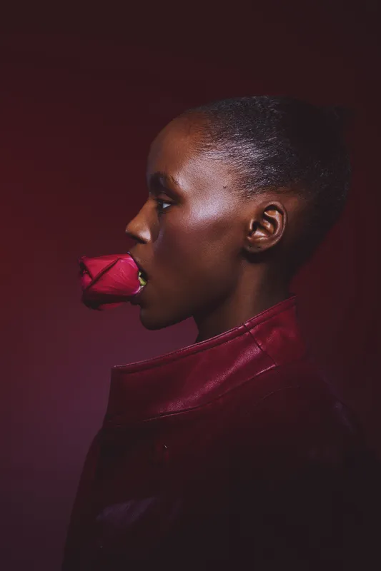 Profile of a dark skinned African woman holding a red rose in her mouth wearing a red leather jacket. Studio portrait on a dark red background, concept for fashion, beauty, and elegance.