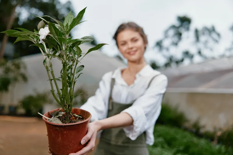 Smiling young woman in casual attire holding a potted plant in a greenhouse, showcasing sustainable gardening and nature conservation
