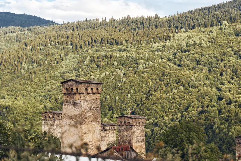 Fortress tower medieval stone landscape forest on hillside with ancient defensive architecture and rustic village roofs in foreground historic rural scene natural