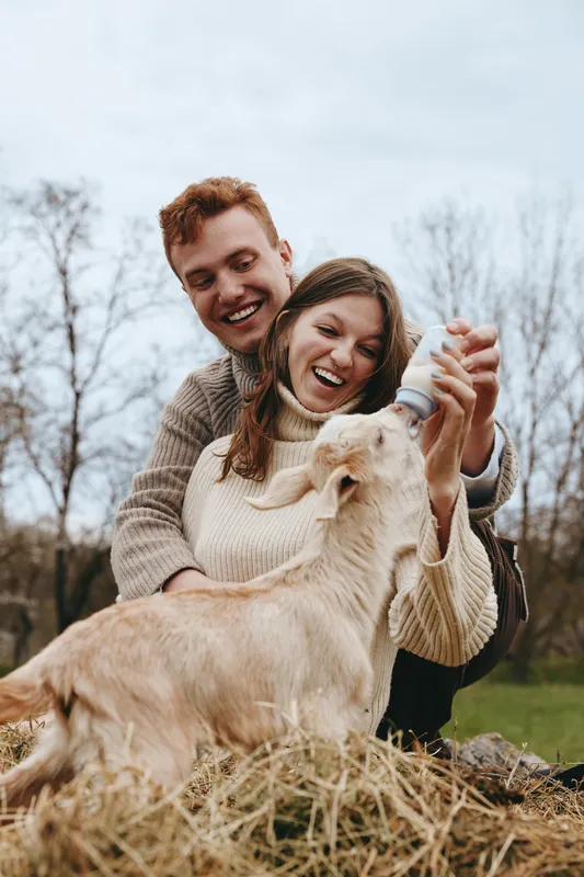 Smiling couple feeding a goat kid outdoors, cozy sweaters, sunlit pasture, straw on the ground, wooden fence in the background. A warm lifestyle moment focusing on care, joy, and nature.