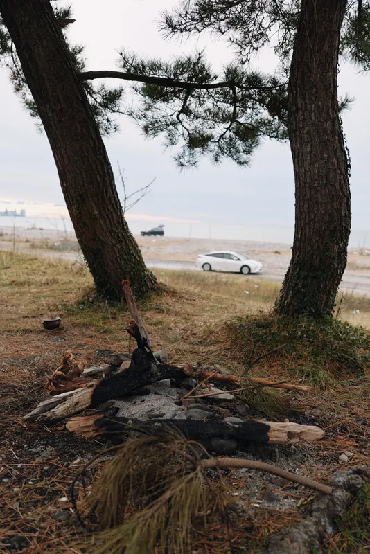 Trees frame a quiet beach with a distant car parked near the shoreline, driftwood and a campfire site in the foreground, calm sea and pale sky create a peaceful coastal scene