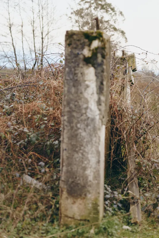 Nature forest outdoors with weathered stone post in rural landscape, dry vegetation and calm autumn mood, outdoor lifestyle concept, soft daylight, minimal view