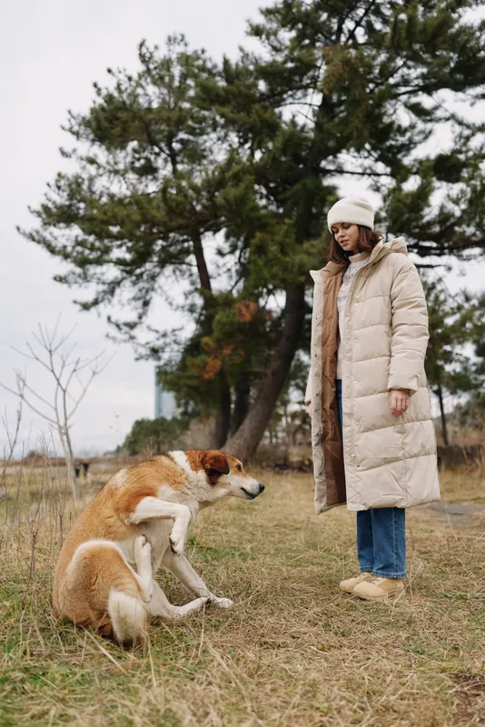 Woman in a long beige coat and knit hat interacts with a seated dog in an open field, trees in the background, capturing a quiet outdoor moment of companionship.
