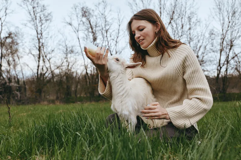 Cheerful woman outdoors, feeding and cuddling a goat kid in a sunlit meadow, warm sweater, gentle interaction, natural colors, relaxed countryside moment