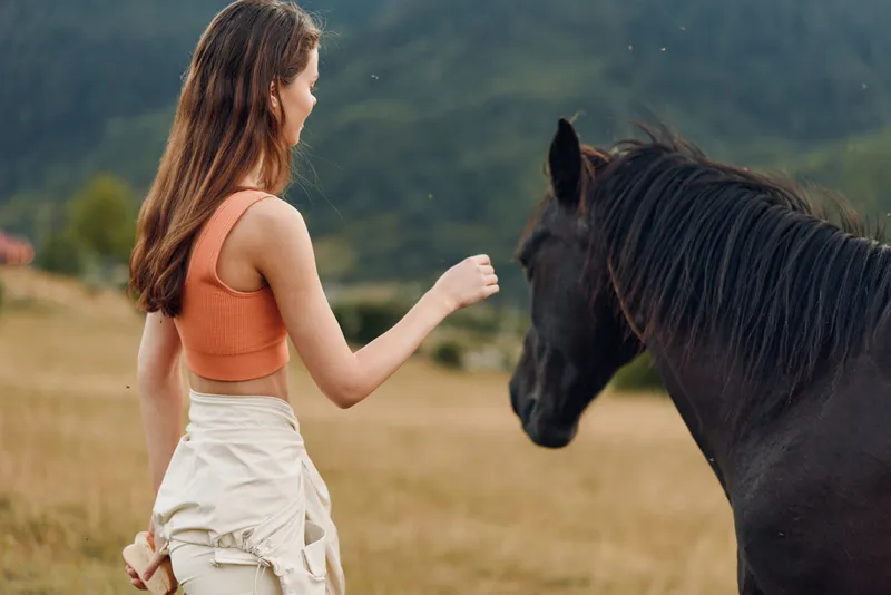 A woman wearing an orange top stands in a sunlit field, reaching toward a calm horse. The moment conveys trust, connection, and serenity in a natural rural setting.