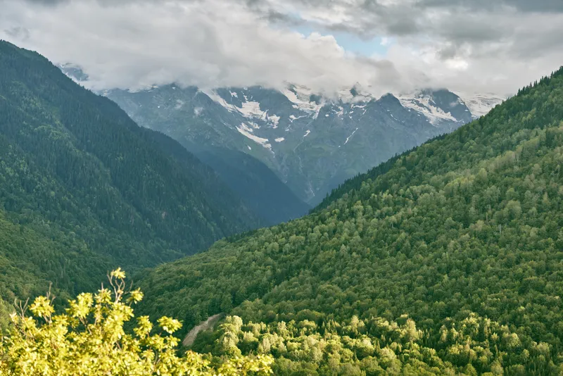 Mountains valley forest clouds peaks landscape nature scenery trees hills with sky and distant snowcaps for outdoor adventure