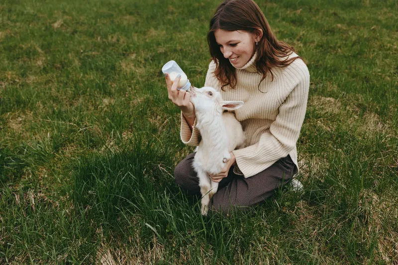 Joyful woman outdoors feeding a goat kid with a bottle in a sunlit field, cozy sweater, calm interaction, natural colors, simple countryside moment captured with tenderness