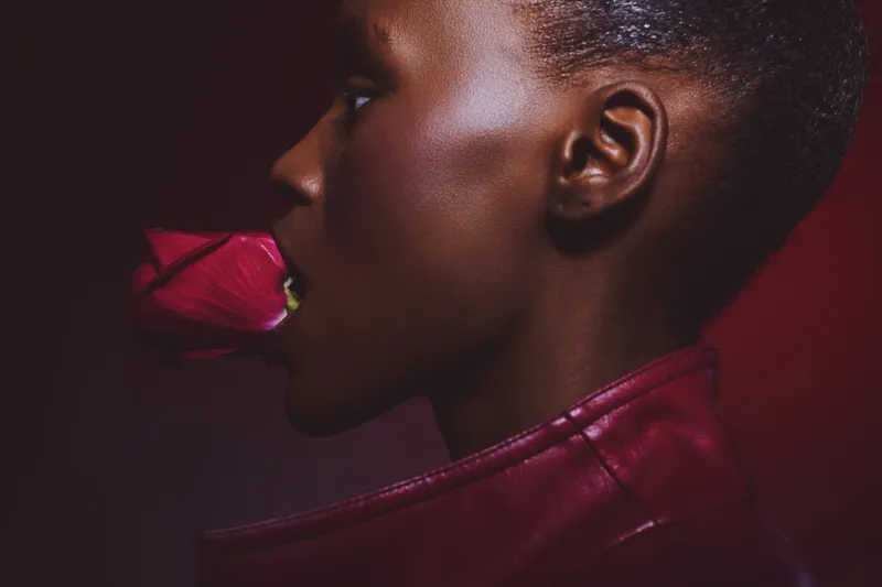 Profile of a dark skinned African woman holding a red rose in her mouth wearing a red leather jacket. Studio portrait with dramatic lighting and deep red background for beauty concept.