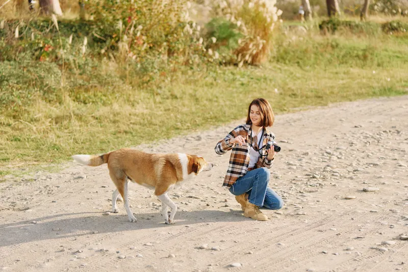 Young girl in a plaid shirt kneels on a gravel path as a dog approaches for a friendly interaction in a sunlit park, capturing a moment of play and companionship.