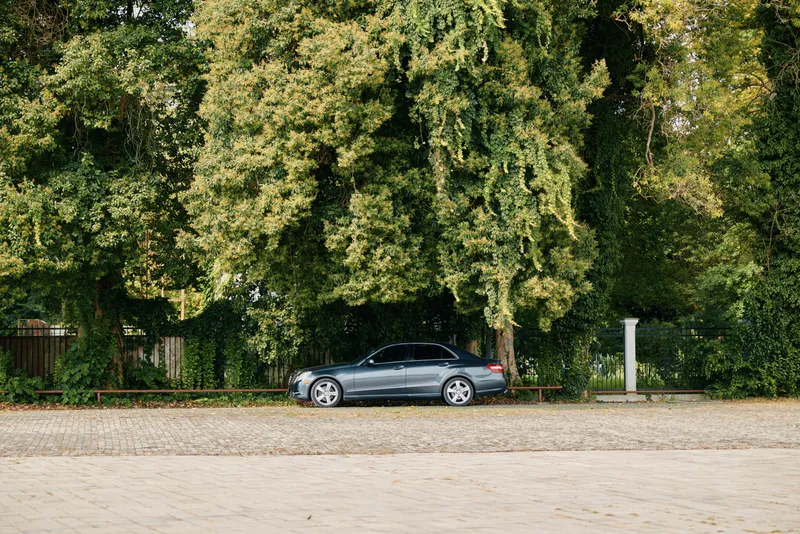 Car parked beside a dense line of trees along a sandy roadside, creating a peaceful outdoor scene with natural greenery, shade, and a calm, quiet atmosphere.