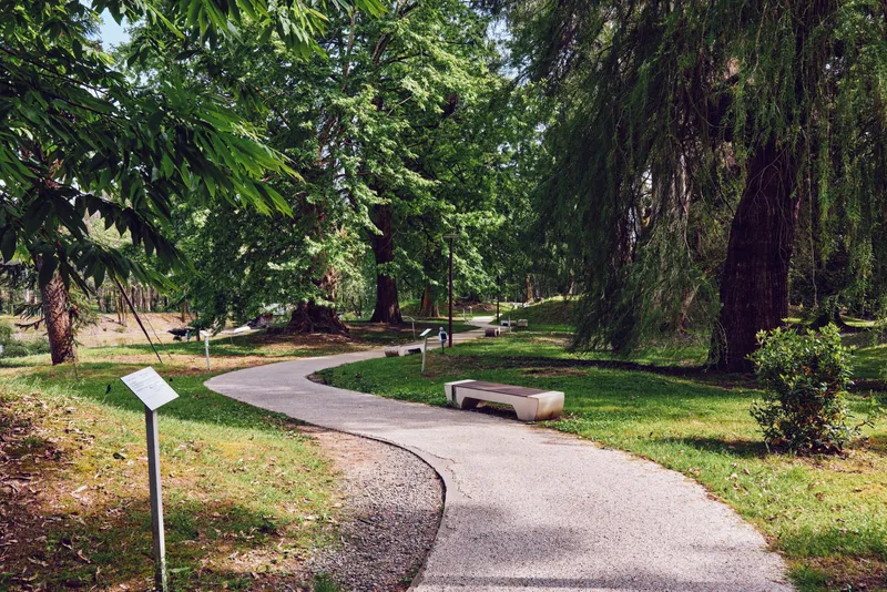 Path, bench, park, trees, gravel, walkway in sunlit garden curve: winding gravel path leads past a wooden bench under tall trees, green foliage and shaded lawn for peaceful outdoor relaxation.
