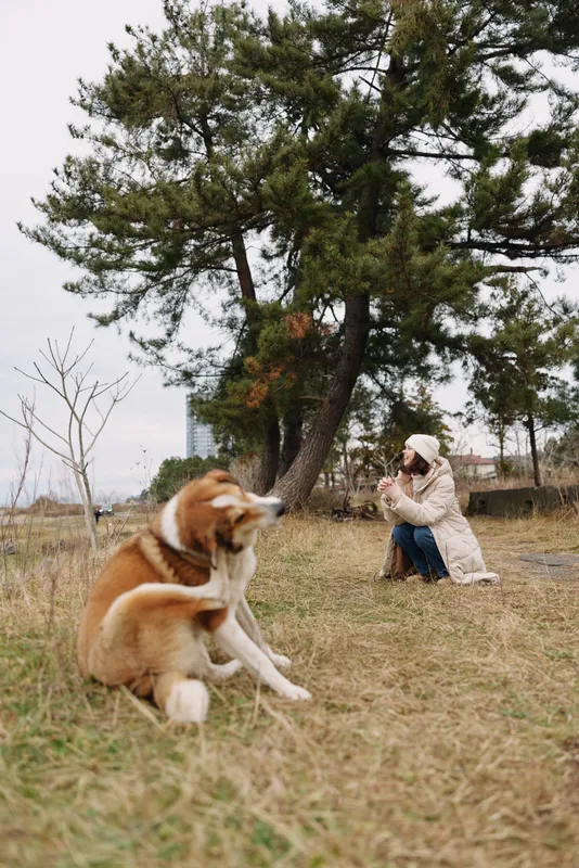 Dog portrait in a park as a photographer kneels to capture the moment, trees in the background, casual outdoor scene highlighting companionship, nature, and candid photography.