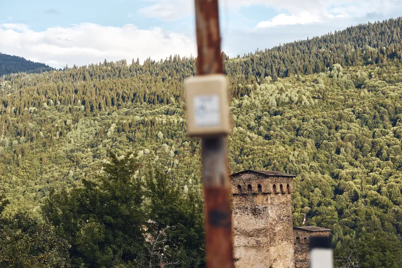 forest hillside stone tower view