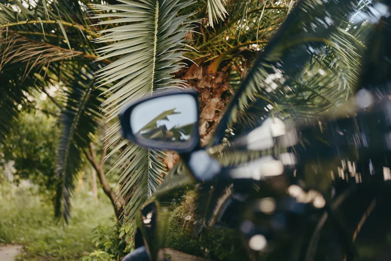 Motorcycle side mirror reflects palm tree leaves in tropical outdoor closeup, black bike body in foreground, casual young adult rider implied, relaxed travel and summer mood.