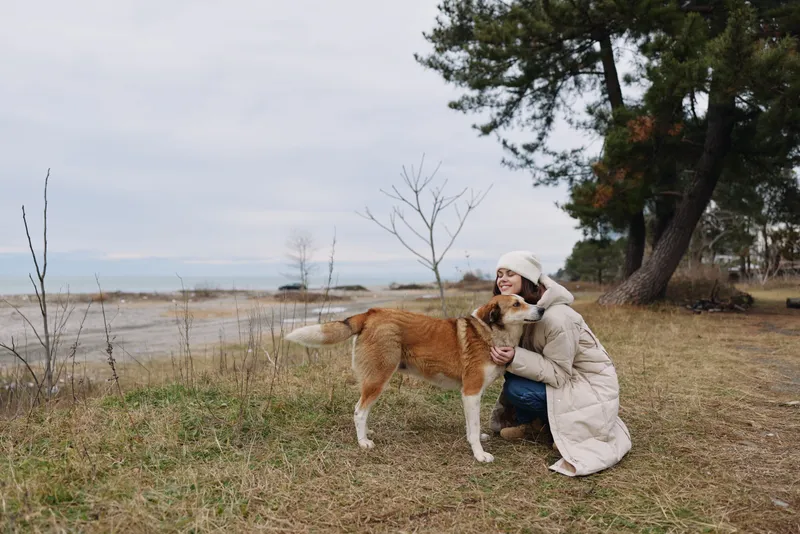 Woman in a warm coat kneels beside a friendly dog by a tranquil lake, offering a gentle hug as bare trees and pines frame the chilly autumn shoreline.