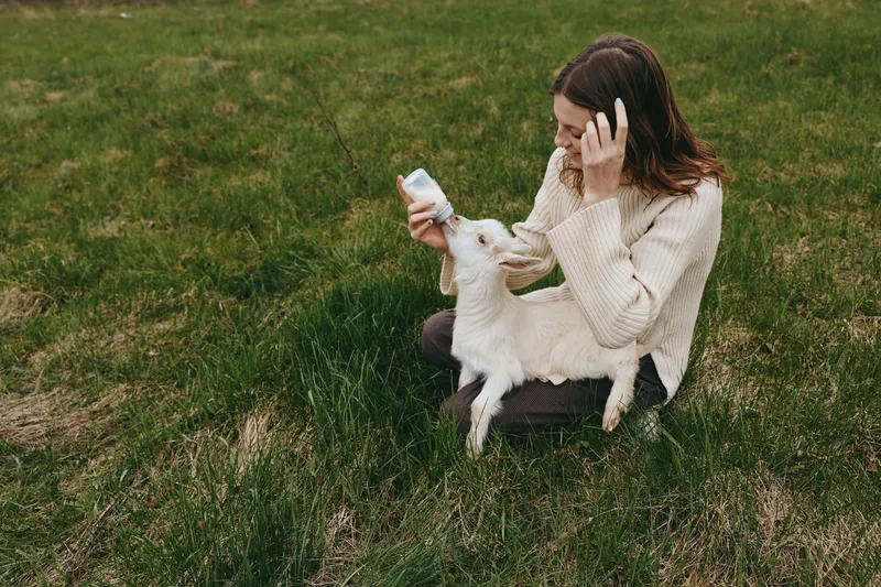 A woman sits on grassy ground feeding a young goat kid with a bottle in an outdoor field, capturing a tender lifestyle moment of care, bonding, and simple countryside joy.