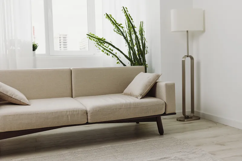 Minimalist beige sofa with cushions in a bright room with natural light, a tall green plant by the window, and a modern floor lamp. Concept of cozy, modern, and clean interior design.