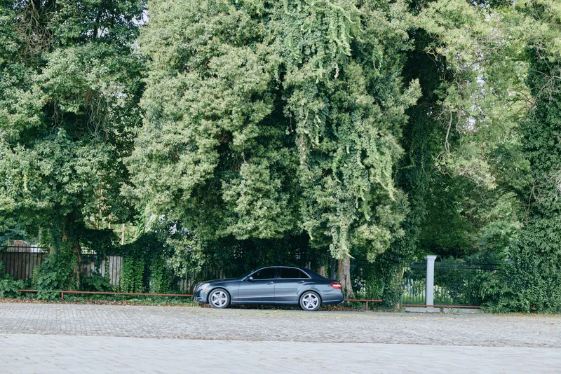 Car parked beside a tree lined roadside by a river, presenting a calm outdoor scene with lush foliage and a quiet natural contrast to urban life