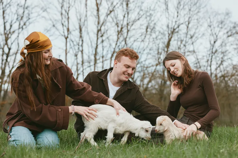Goat, kid, outdoor scene with family and friends sharing a gentle moment, laughter in nature, a green field setting, animals and companionship shown through relaxed interaction and warm smiles
