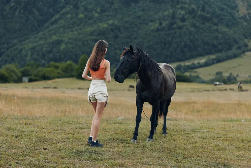 A young woman stands in a grassy field, gently touching a horse, enjoying a tranquil outdoor moment; a peaceful rural scene exudes calm, connection, and nature.