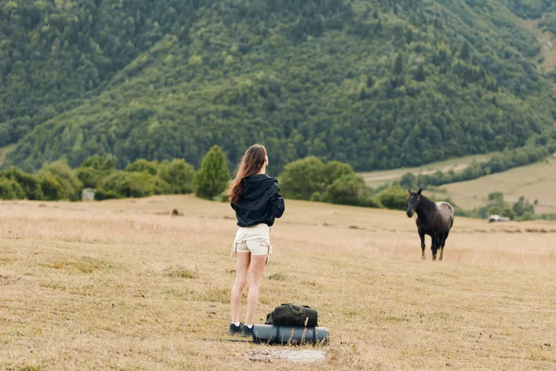 A lone traveler stands in an open field with a backpack, gazing toward a distant horse, framed by rolling hills and a tranquil natural landscape.