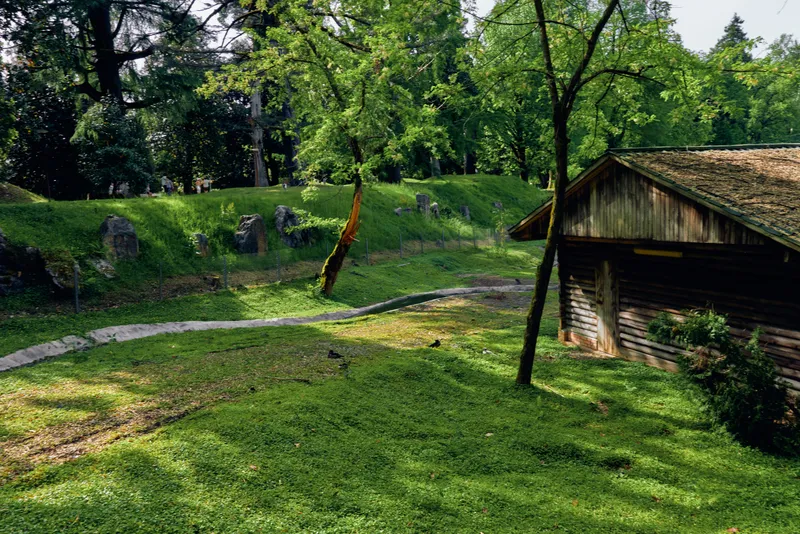 Cabin, grass, trees, path, forest, wooden, sunlight, countryside: rustic wooden cabin beside sunlit grassy clearing with winding stone path through trees, peaceful rural landscape and summer foliage.