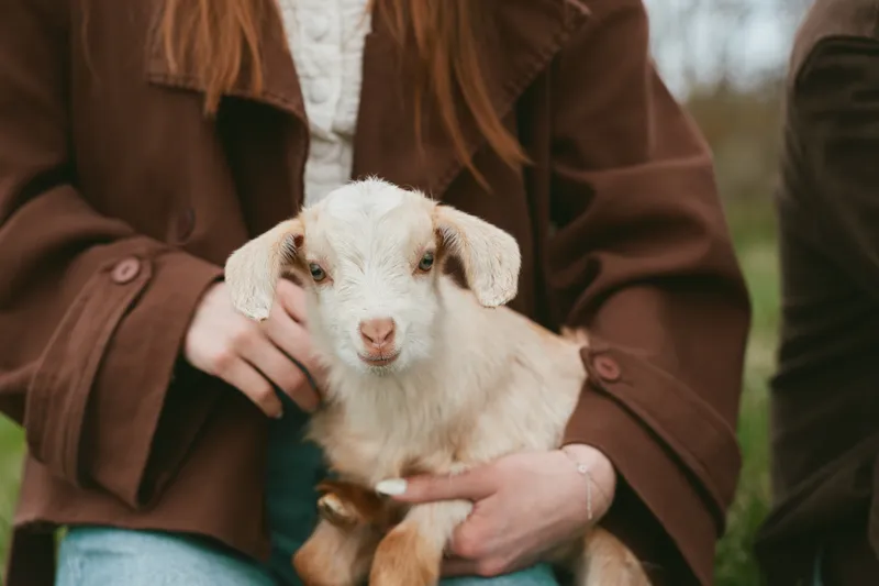 Young woman in brown coat gently holds a small white baby goat outdoors, showing care and tenderness in a natural lifestyle setting during a cool day.