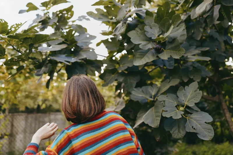 Woman in colorful striped sweater with short hair looking at a fig tree in a backyard garden, leaning on a fence in a relaxed outdoor nature moment with contemplative mood.