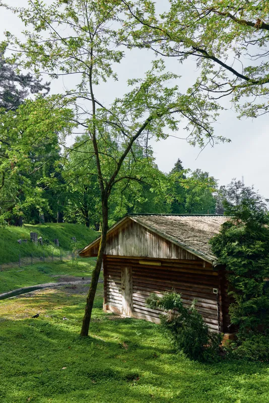 Cabin countryside trees grass rural nature forest cottage nestled in a sunlit meadow, wooden log structure beside leafy trees, peaceful rustic retreat with shaded path.