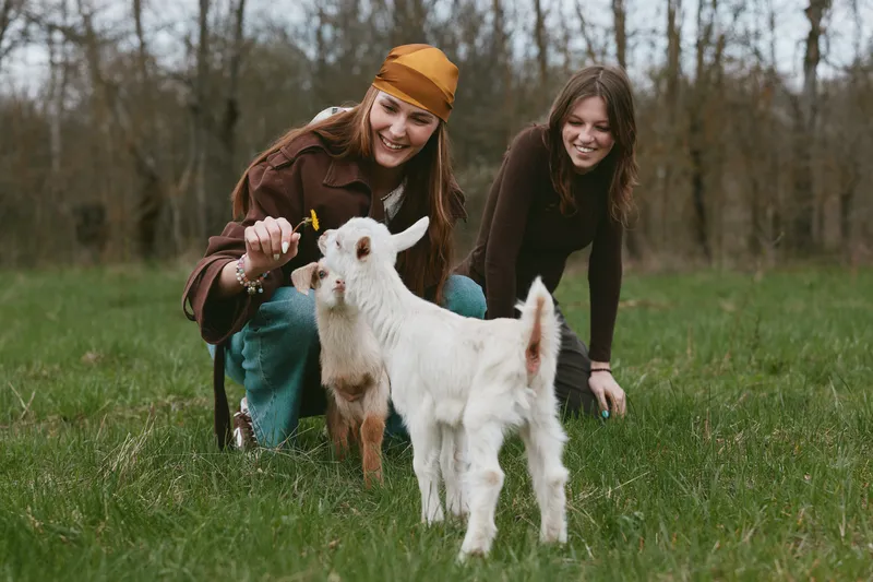 Two women interact with a playful goat kid in a grassy field, capturing a candid lifestyle moment in nature, showcasing joy, care, and connection with animals outdoors.