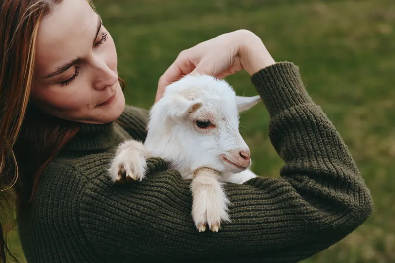 Heartwarming lifestyle scene features a woman in a knitted sweater gently hugging a young goat kid, set in a tranquil countryside yard, highlighting care, bond, and rustic farm life.
