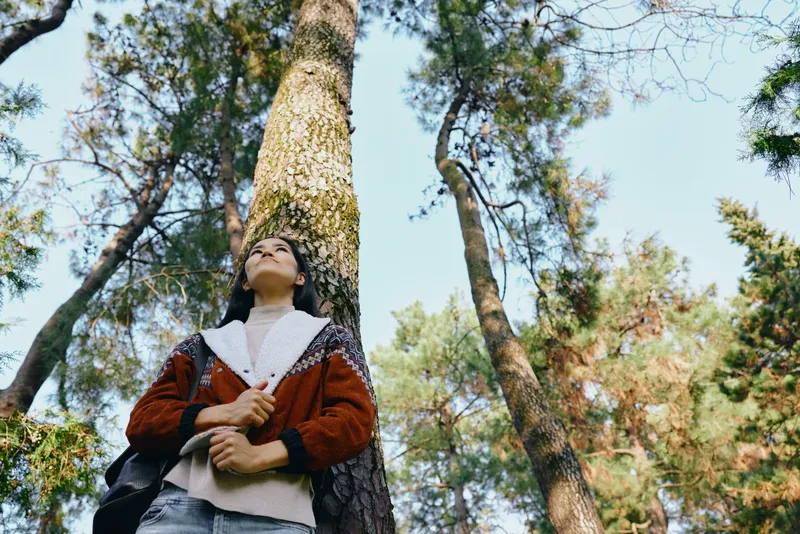 Adult in red jacket gazes upward beneath towering trees in a sunlit forest, capturing an outdoor moment of exploration, calm nature and woodland serenity.