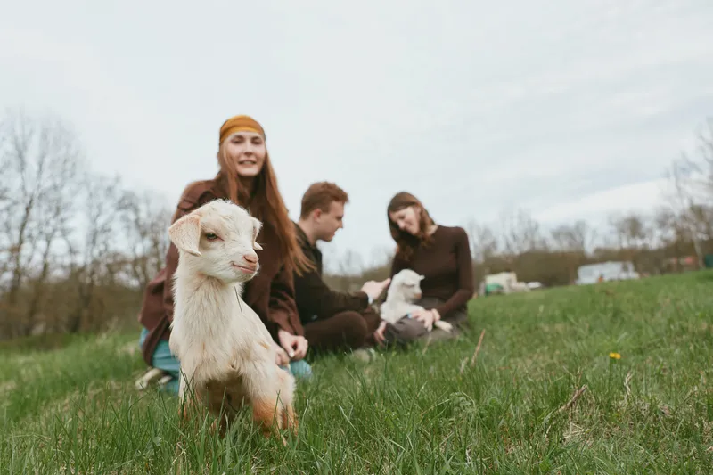 A joyful group in a rural field pets a young goat kid while enjoying a casual day outdoors. Laughter and curiosity highlight rural life, bonding, and simple pleasures with animals in an open
