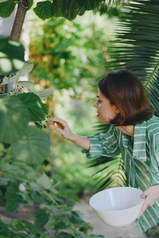 A woman in a striped shirt leans toward lush green foliage, picking fruit from a garden while holding a white bowl.