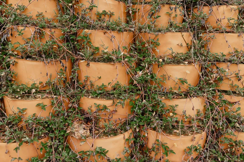 Beautiful arrangement of terracotta pots covered with greenery, showcasing a vibrant natural pattern perfect for gardening themes and outdoor decor
