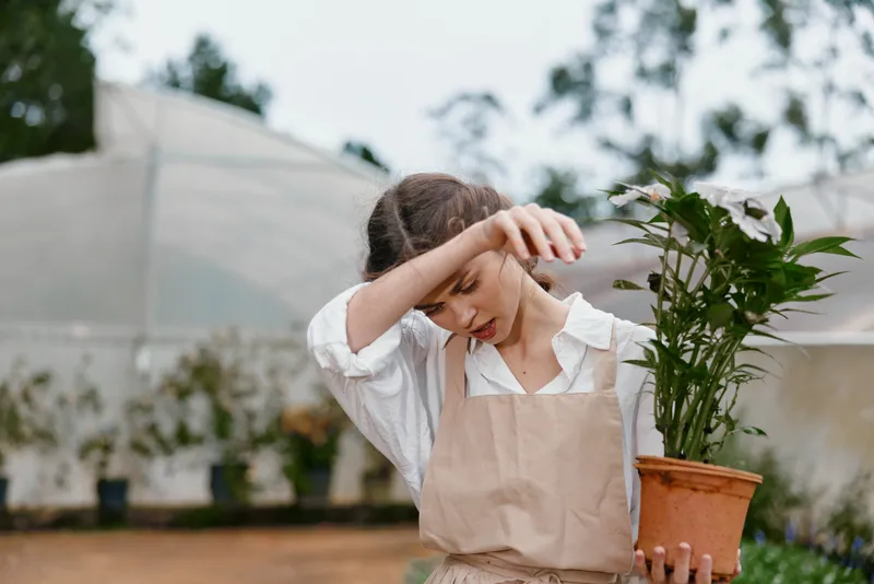 Young woman in an apron caring for a plant, expressing a moment of reflection against a greenhouse backdrop, highlighting nature and sustainability