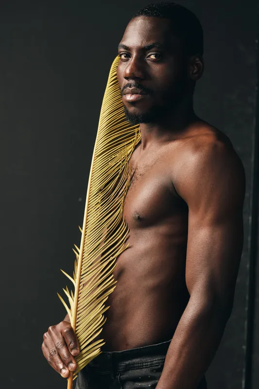 African man with dark skin holding large dried palm leaf in creative conceptual visual style. Portrait of shirtless male model with serious expression on dark background.
